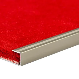 ?asově Omezené Profilteam D-62 – ukon?ovací li?ta pro podlahy 10–12 mm, 13 × 2700 mm, ?ampaň E02